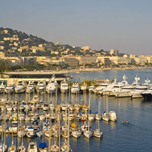 Vieux Port, Old Harbour, Cannes, Provence-Alpes-Cote d Azur, France
