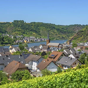 View at Alken, Mosel Valley, Rhineland-Palatinate, Germany