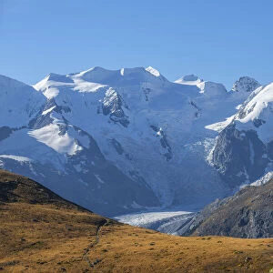 View from Alp Languard at Bernina mountain range, Pontresina, Upper Engadin, Grisons (Graubunden), Switzerland