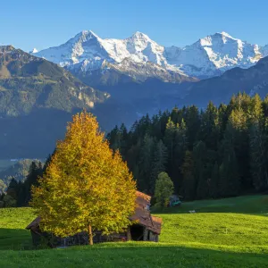 View from Beatenberg on Eiger, Monch and Jungfrau, Berner Oberland, Switzerland