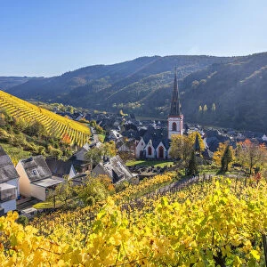 View at Ediger, Ediger-Eller, Mosel valley, Rhineland-Palatinate, Germany