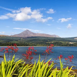 View towards Goatfell, the highest point of the island, Isle of Arran, Firth of Clyde