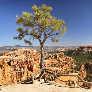 View from Inspiration Point, Bryce Canyon National Park, Colorado Plateau, Utah, USA
