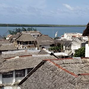 A view over makuti thatched roofs to the estuary that