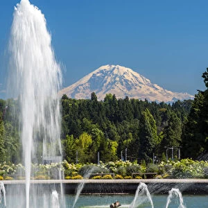 View over Mount Rainier from University of Washington, Seattle, Washington, USA
