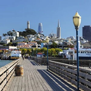 View from Pier 39 to Telegraph Hill and finance district, San Francisco, California, USA