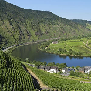 View of River Moselle, Bremm, Rhineland-Palatinate, Germany