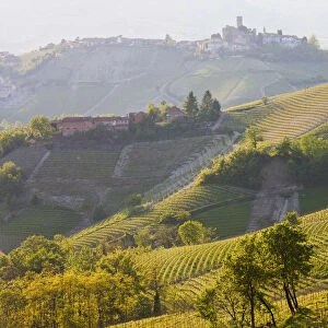 View to Serralunga d Alba, Piedmont (or Piemonte or Piedmonte), Italy