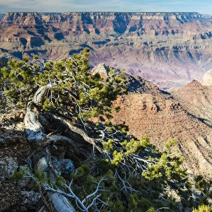 Top view of south rim from Desert View, Grand Canyon National Park, Arizona, USA