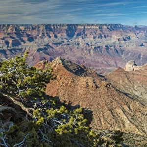 Top view of south rim, Grand Canyon National Park, Arizona, USA