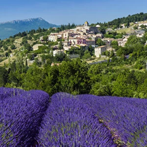 View of village of Aurel with field of lavander in bloom, Provence, France