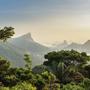 View from Vista Chinesa over Tijuca Forest towards Rio de Janeiro, Brazil