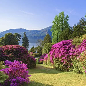 Villa Carlotta, Tremezzo, Como lake, Lombardy, Italy