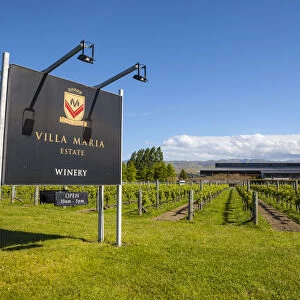 Villa Maria Estate, Blenheim, Marlborough, South Island, New Zealand