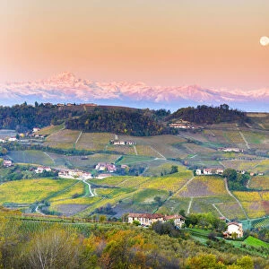 Vineyard of Barolo wine region during sunrise with the moon
