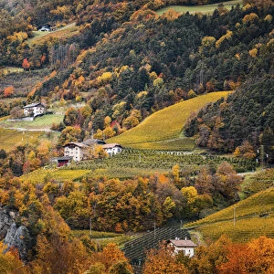 Vineyards and autumn landscape in Bolzen, Trentino Alto Adige, Italy
