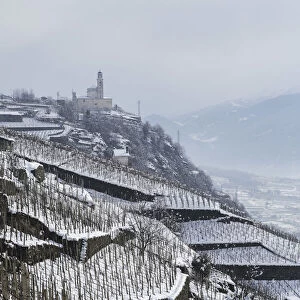 Vineyards of Grumello covered in snow near Montagna in Valtellina. Lombardy, Italy