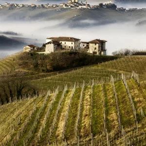 Vineyards in Langhe with a farmhouse on the foreground, Serralunga D