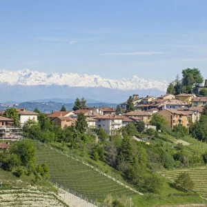 Vineyards in Langhe with Serralunga D Alba with his castle on the foreground