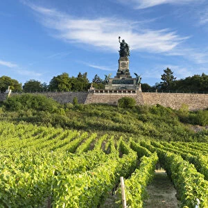Vineyards and Niederwalddenkmal monument, Rudesheim, Rhineland-Palatinate, Germany