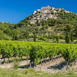 Vineyards with village of Gordes in the background, Vaucluse, Provence, France