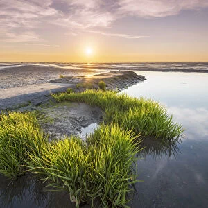 Wadden Sea with low tide, Duhnen, Cuxhaven, Lower Saxony, Germany