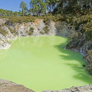 Waiotapu Thermal Area, Devils Bath, Rotorua, New Zealand