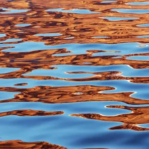 Ymer Island Water Print, Northeast Greenland National Park Ymer Island Water Print, Northeast Greenland National Park