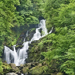 Waterfall in forest - Ireland, Kerry, Killarney, Torc Waterfall - Killarney National Park