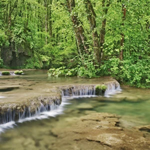 Waterfall near Cascade des Tufs in beech forest - France, Bourgogne-Franche-Comte, Jura