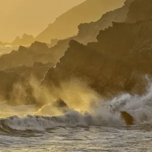 Waves crashing on shoreline, Pfeiffer State Park, Big Sur, California, USA