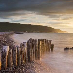 Weathered wooden posts on Bossington Beach, Exmoor National Park, Somerset, England