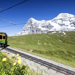The Wengernalpbahn rack railway runs across meadows and snowy peaks Wengen Bernese