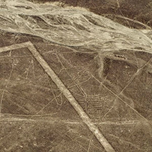 The Whale Geoglyph, aerial view, Nazca, Ica Region, Peru