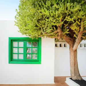 White House and Tree Print, Tahiche, Lanzarote White House and Tree Print, Tahiche, Lanzarote