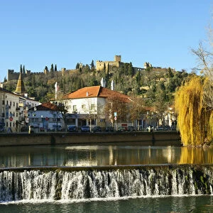 A willow tree over the Nabao river and the Templar castle on the top of the hill. Tomar