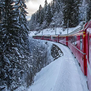The windows of the red train reflecting the landscape of snowy woods of Sankt Moritz