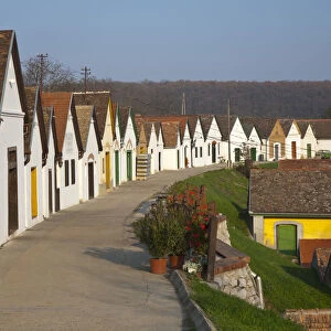 Wine Cellars, Villany Kovesd, Villany Wine Region, Southern Transdanubia, Hungary