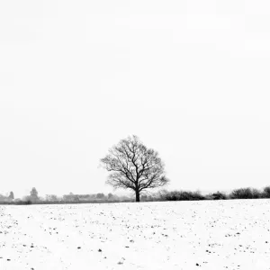 Winter Fields Comberton Black and White Print Winter Fields Comberton Black and White Print