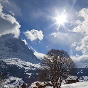 Winter landscape, Grindelwald, Jungfrau region, Bernese Oberland, Swiss Alps, Switzerland