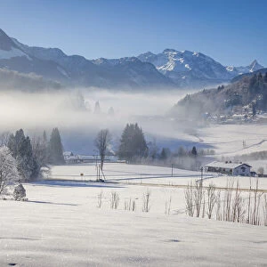 Winter morning mist near Berchtesgaden, Upper Bavaria, Bavaria, Germany