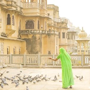 Woman feeding pidgeons, Udaipur, Rajasthan, India