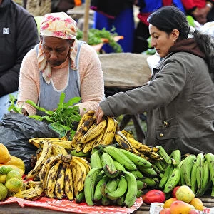 Woman selling banana at a Indian market in Silvia, Guambiano Indians, Colombia, South