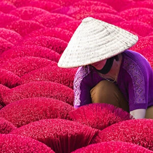 A woman sorting out the incense sticks drying in the sun, Hung Yen province, Vietnam