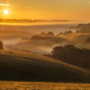Woodley Down, Wiltshire, England