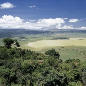 The world famous Ngorongoro Crater