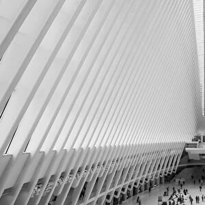 World Trade Center station (PATH) AKA The Oculus, Manhattan, New York City, USA