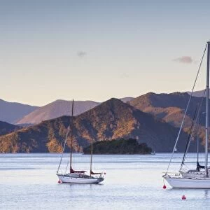 Yachts anchored on the idyllic Queen Charlotte Sound, Picton, Marlborough Sounds
