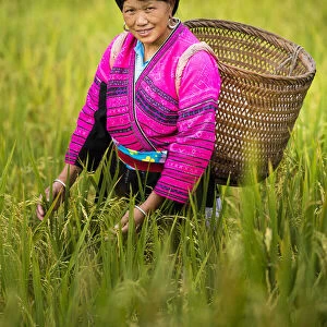 Yao minority lady, Longji rice terraces, Longshen, China