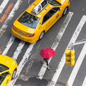 Yellow taxi cabs & crossing, overhead view, New York, Manhattan, New York, USA Yellow taxi cabs & crossing, overhead view, New York, Manhattan, New York, USA